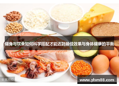 健身与饮食如何科学搭配才能达到最佳效果与身体健康的平衡