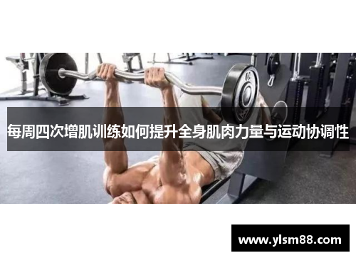 每周四次增肌训练如何提升全身肌肉力量与运动协调性