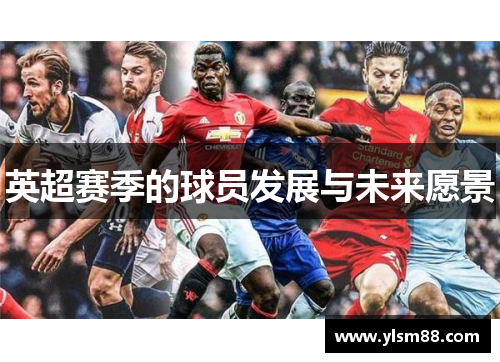 英超赛季的球员发展与未来愿景