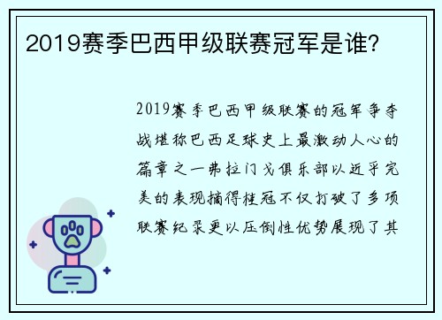 2019赛季巴西甲级联赛冠军是谁？